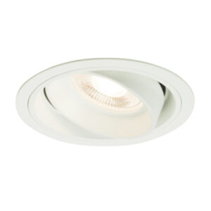 Product Detail Axiom Taurus Downlight Ark Lighting